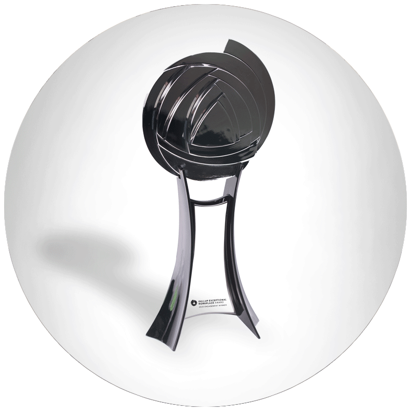 Gallup Exceptional Workplace Award